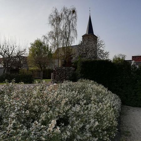 B&B 'T Huys Van Enaeme Oudenaarde Exterior photo